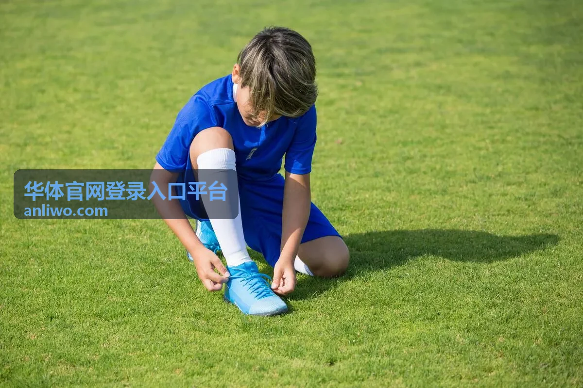 华体官网登录入口平台登录与安全服务主题封面
