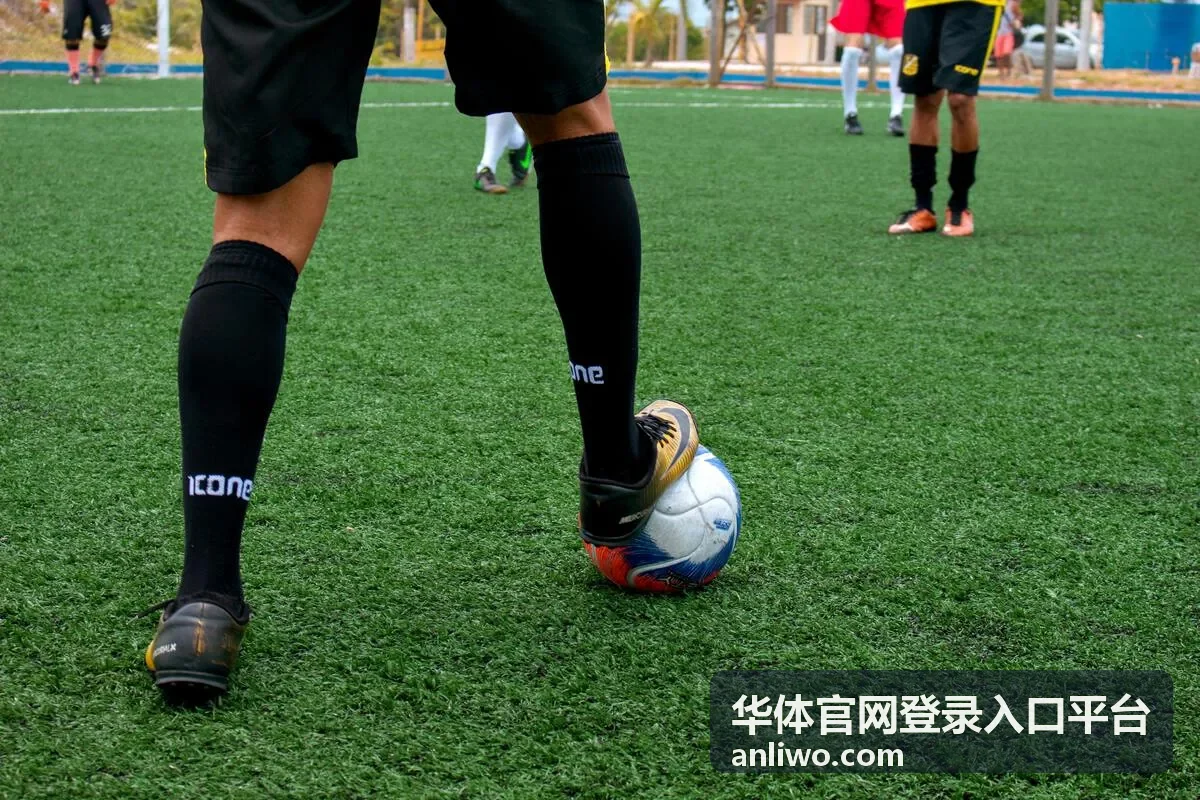 安全合规入口 · 华体官网登录入口平台